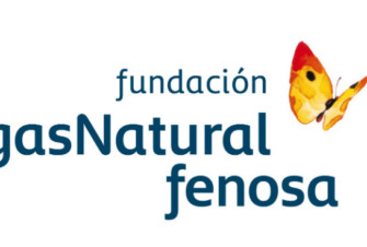 logo fundacion gas natural fenosa