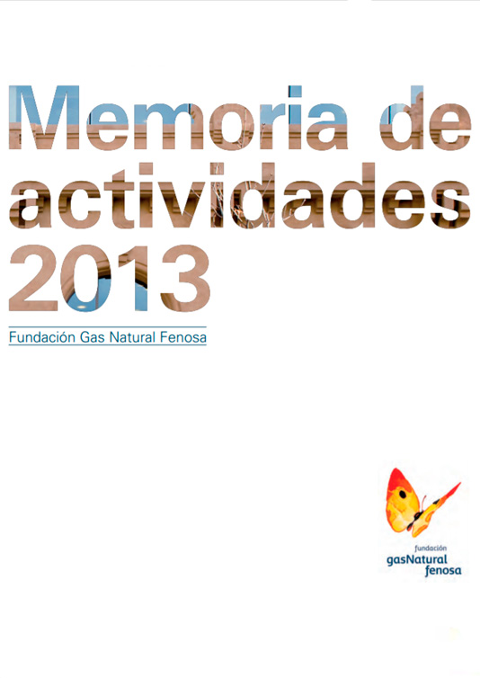 Memoria de actividades Fundación Naturgy 2013