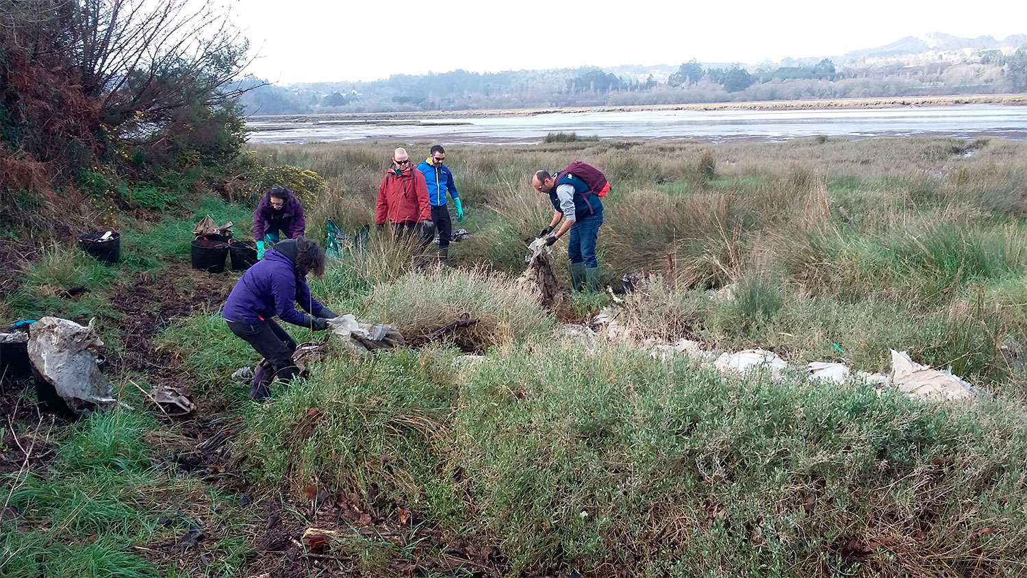 Voluntariiado Ambiental Fragas do Mandeo Galicia